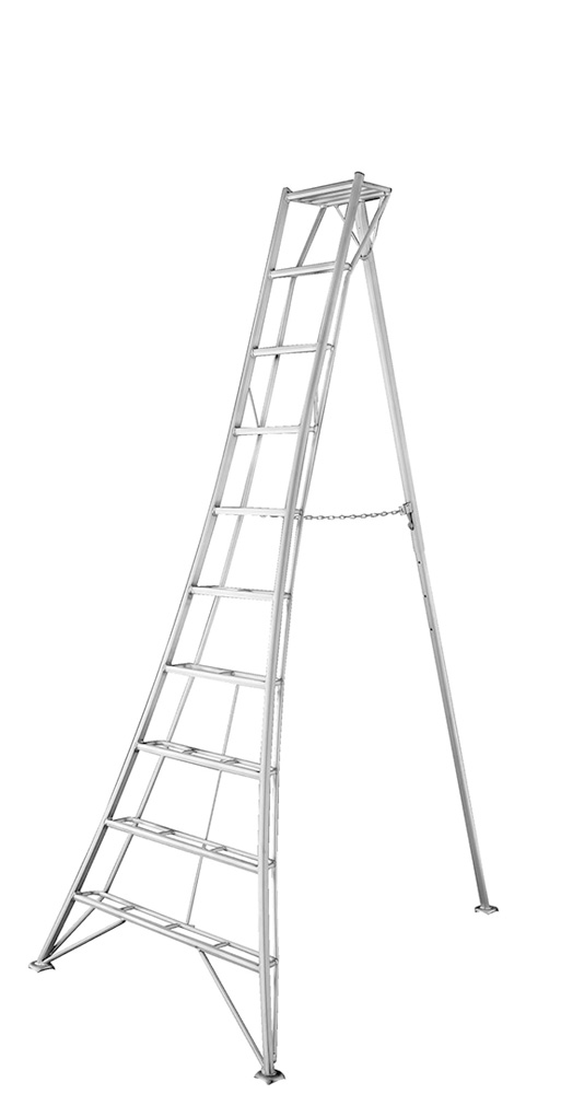Orchard 10FT Ladder