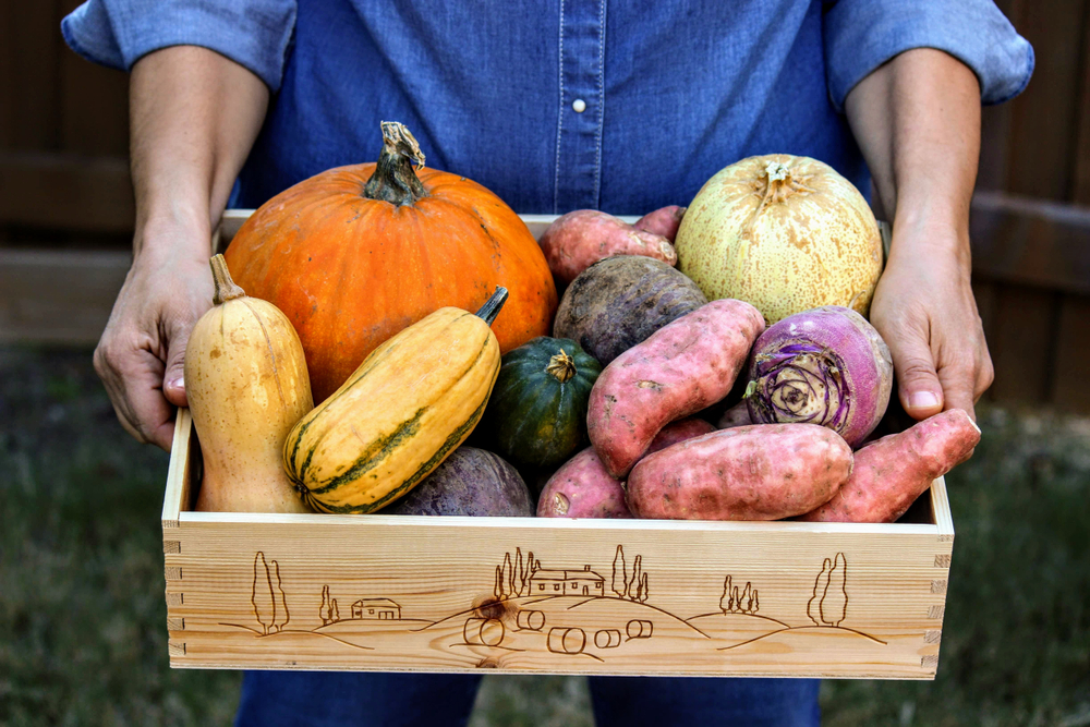 Fall Gardening Tips for a Bountiful Harvest